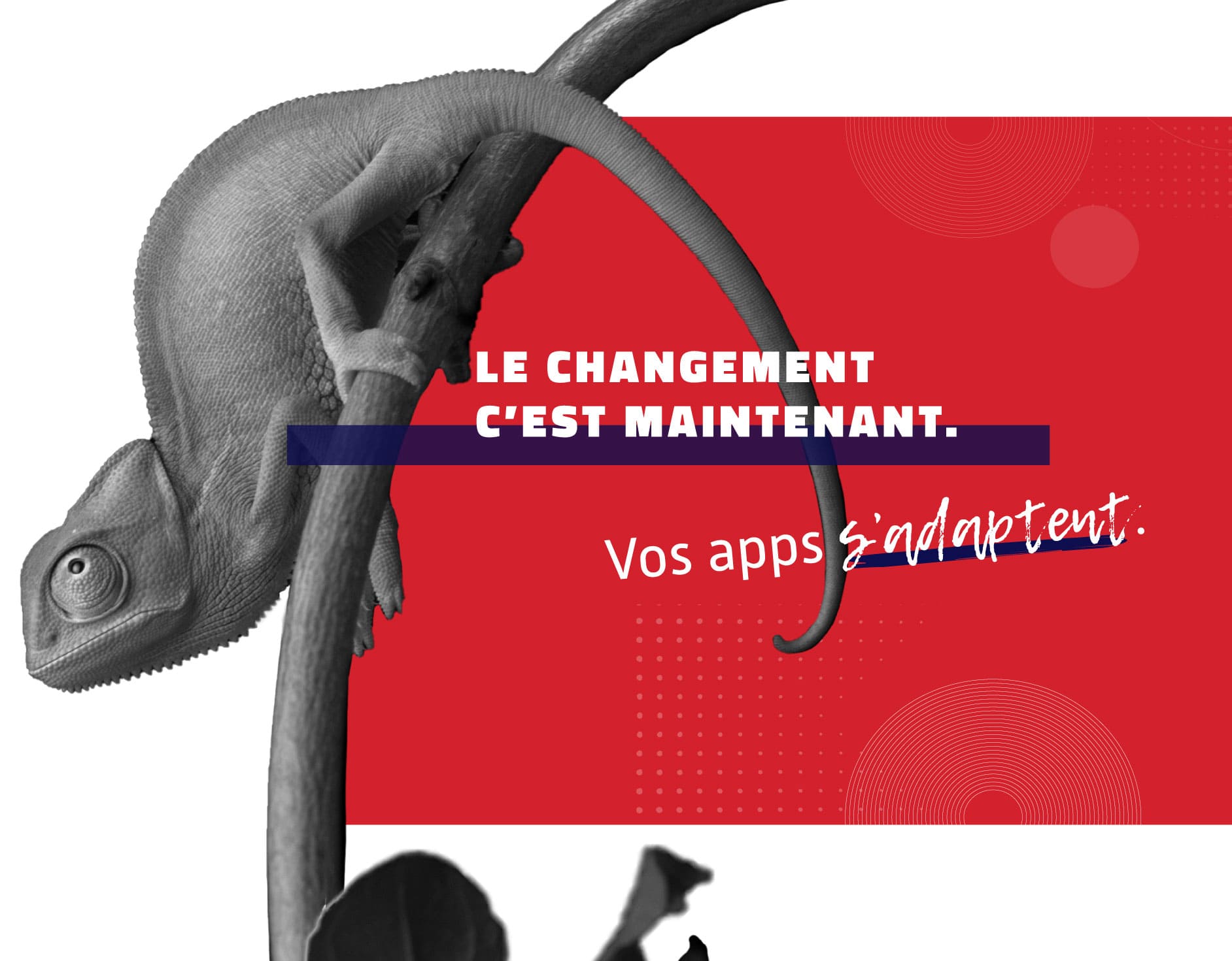 creation application mobile clermont ferrand